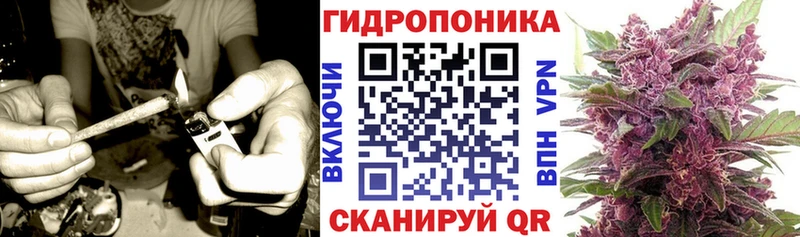 Марихуана гибрид  Ершов 